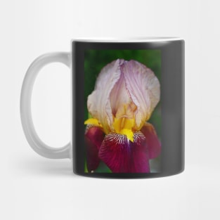 Indian Chief Iris Mug